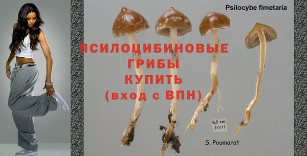 наркотики Вязьма