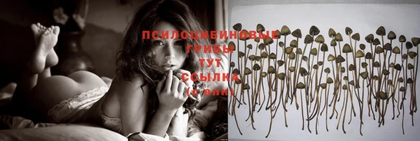 не бодяженный Вязники
