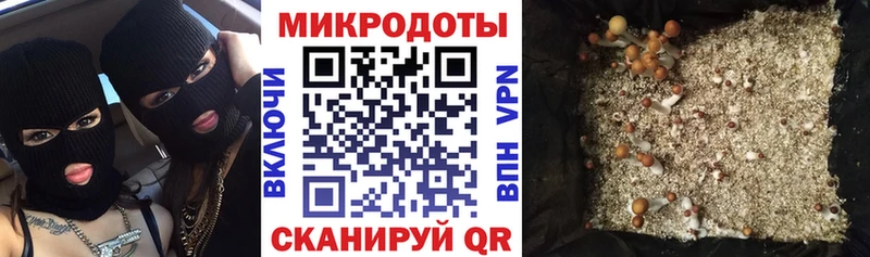 Псилоцибиновые грибы Psilocybe  Купить  Котельники 